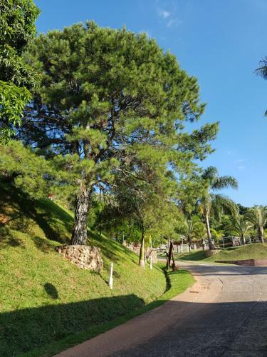Bed & Breakfast Pousada Nefelibatas