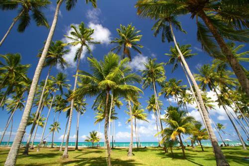 Hostal Pontal Dos Carneiros Beach Bungalows