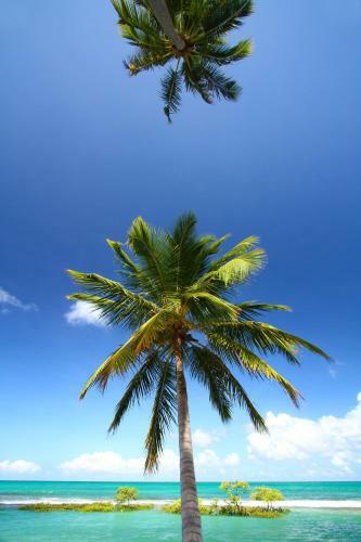 Hostal Pontal Dos Carneiros Beach Bungalows