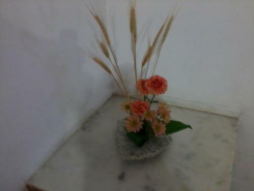 Hostal Pousada Edson