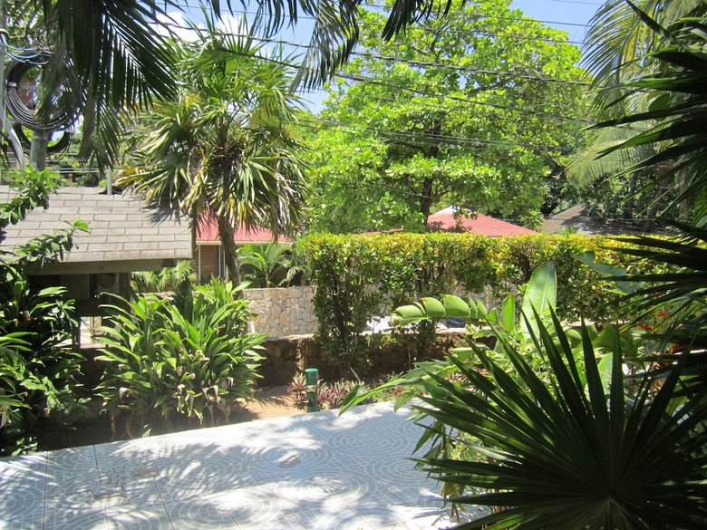 Posada Coconut Tree West End