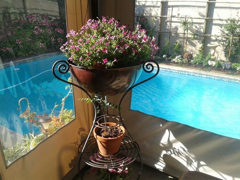 Bed & Breakfast Glenhaven Guesthouse