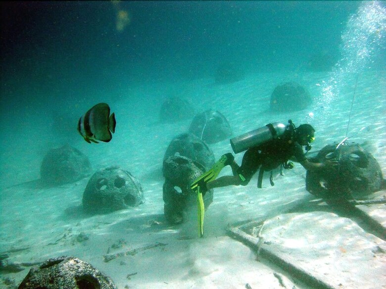 Hotel The Reef Dive Resort