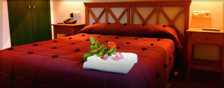 Hotel Rural Aldeaduero 4 Estrellas