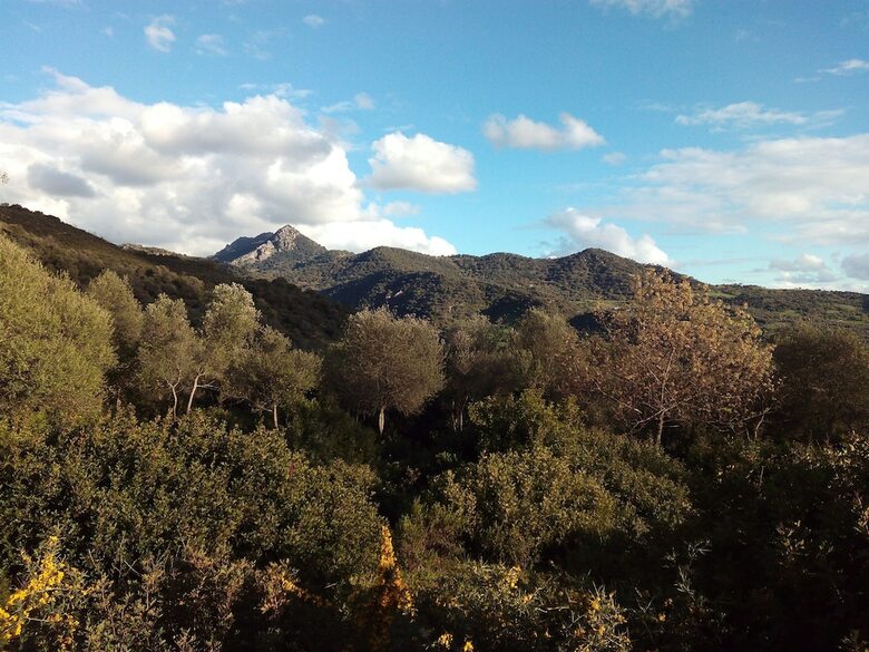 Hotel Hospeder�a Las Buitreras