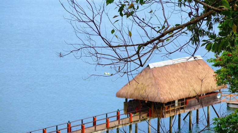 Hotel Seagull Cove Resort