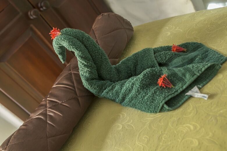 Hotel Thermoman�a