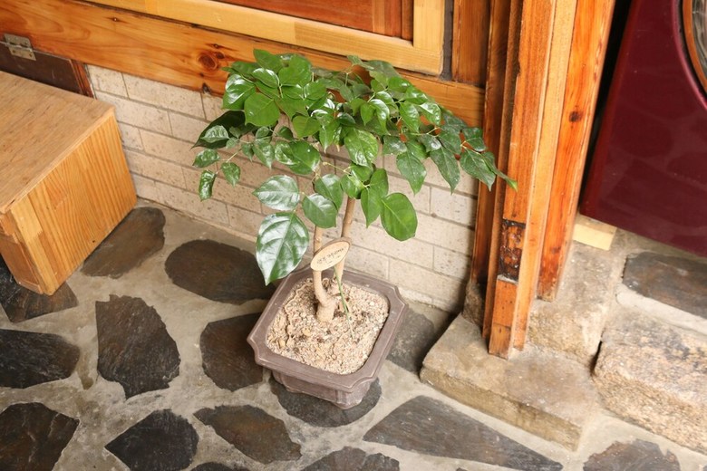 Hotel Dajayon Guest House