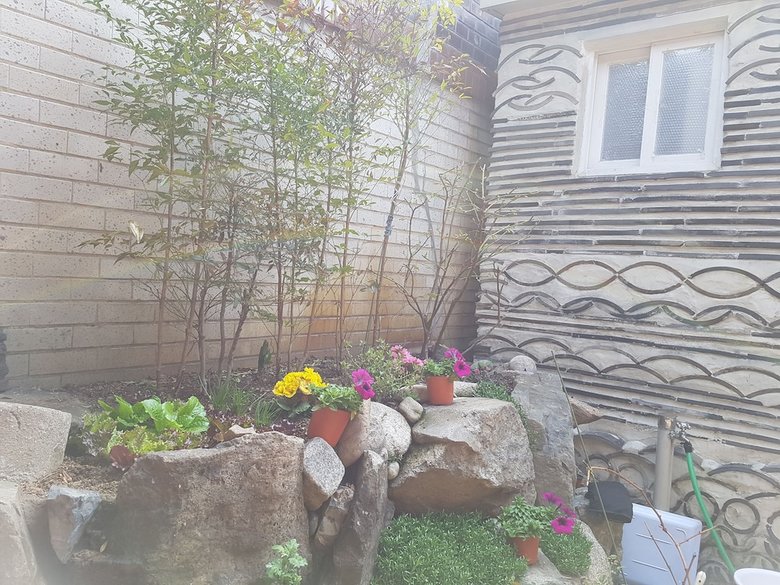 Hotel Dajayon Guest House