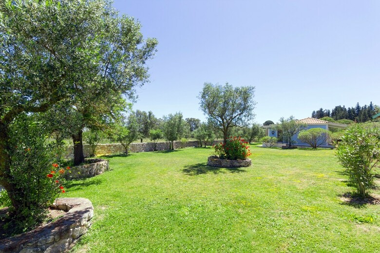 Villa Liuba Houses