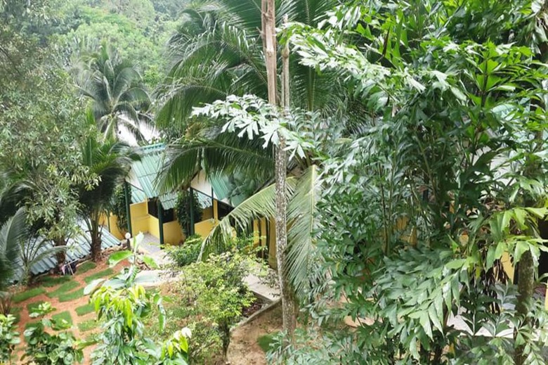 Hotel Island Lodge