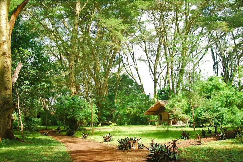Posada Migunga Tented Camp