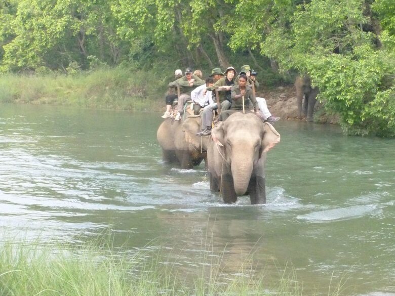 Hotel Nature Safari Resort