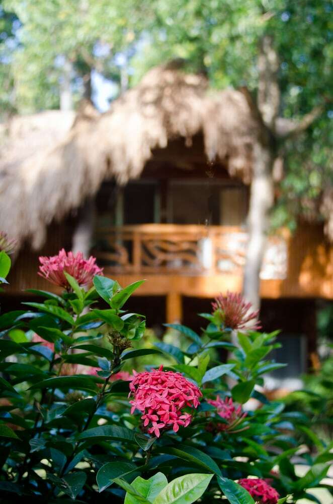 Apartamento Mike's Dauin Beach Resort