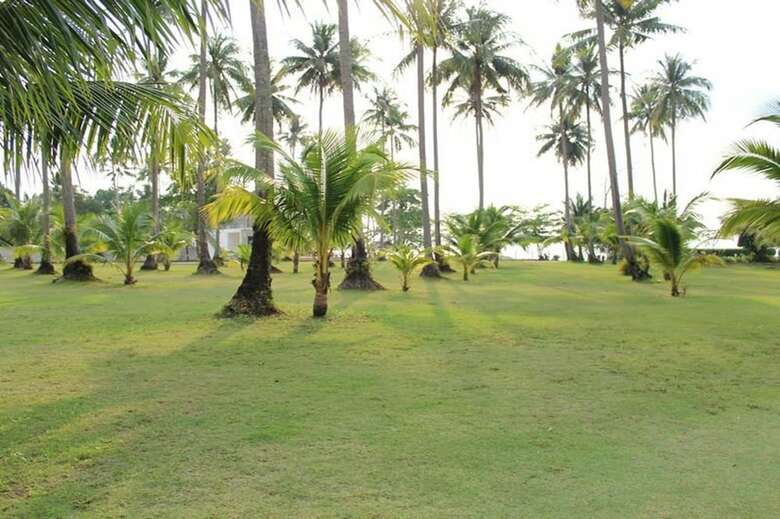 Hotel Chang Park Resort