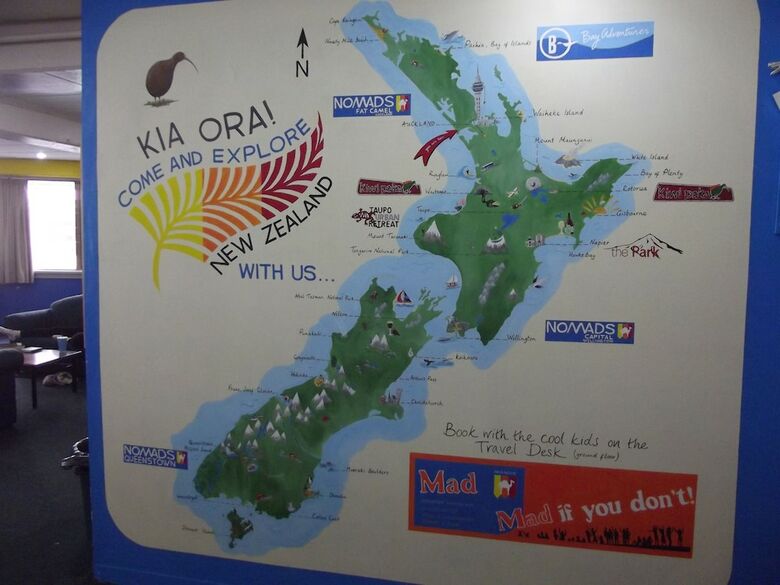 Hostal Fat Camel Hostel & Bar