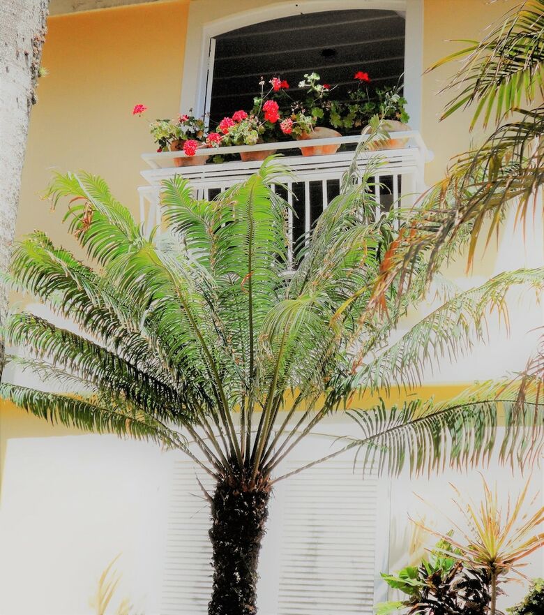 Hotel Auberge de La Langouste