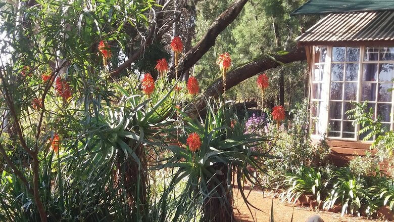 Woodland Gardens