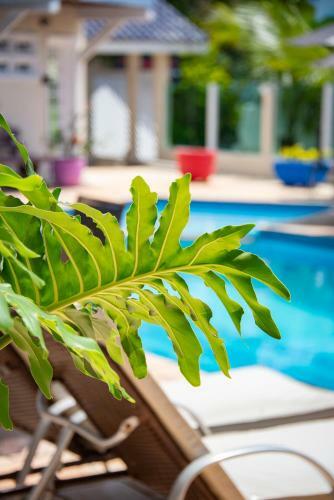 Pa�ba Beach Hotel