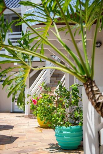 Pa�ba Beach Hotel