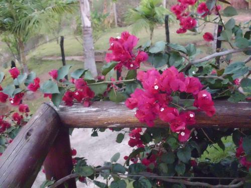 Casa Estrelada Bed And Breakfast