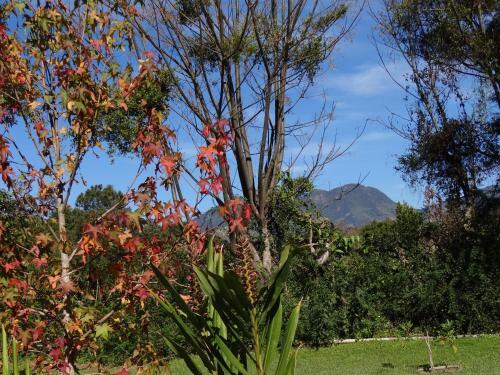 Hostal Canto Da Lua Chal�s E Api�rio