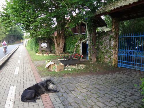 Hostal Canto Da Lua Chal�s E Api�rio