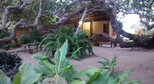 Hostal Pousada Chica Pitanga