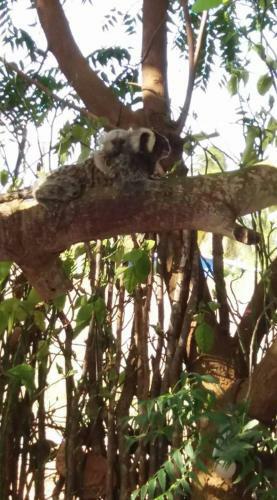 Hostal Recanto Do Rei Chal�s