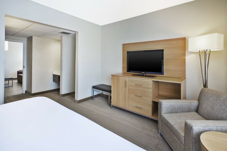 Hotel Holiday Inn Rapid City-rushmore Plaza