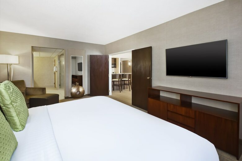 Hotel Holiday Inn Rapid City-rushmore Plaza