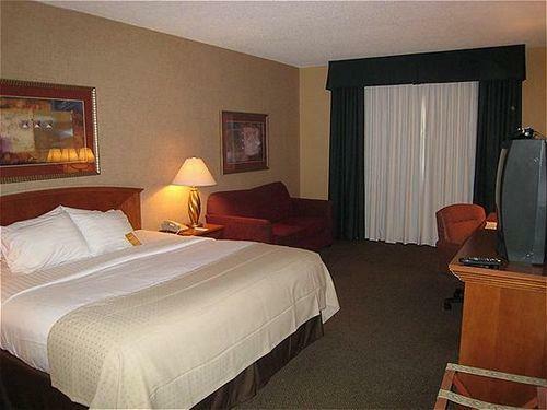 Hotel Holiday Inn Rapid City-rushmore Plaza