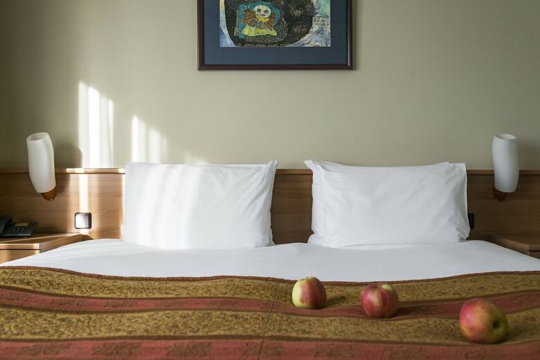 Best Baltic Kaunas Hotel