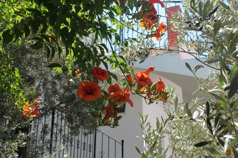 Lizo Hotel