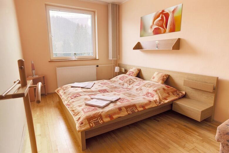 Hotel Borov� Siho?