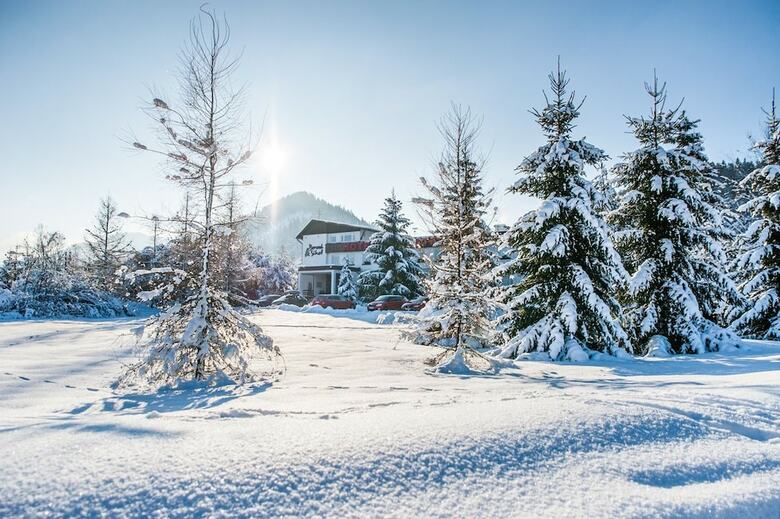 Hotel Borov� Siho?