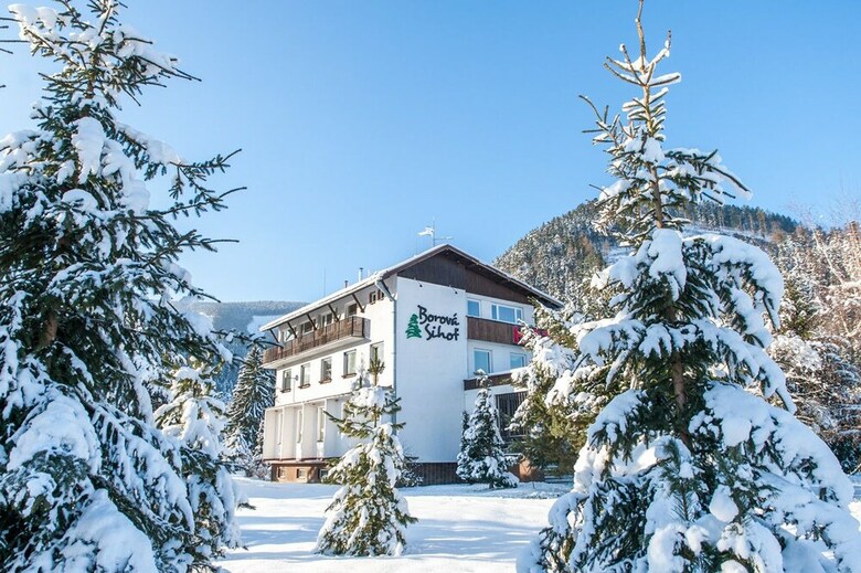 Hotel Borov� Siho?