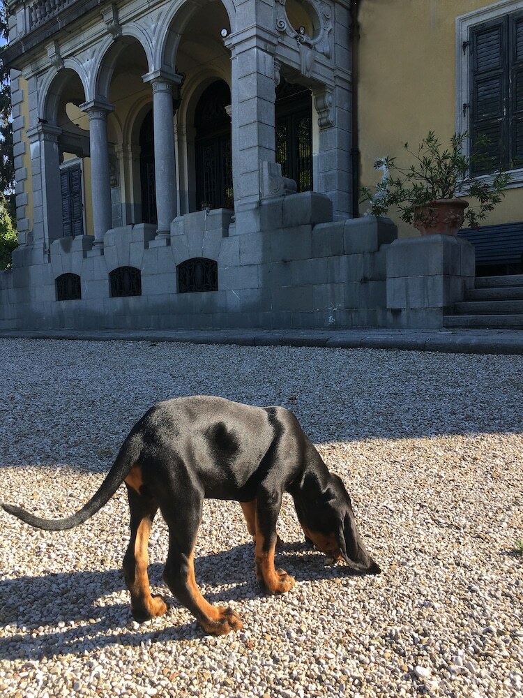 Bed & Breakfast Villa Miotti de Braida