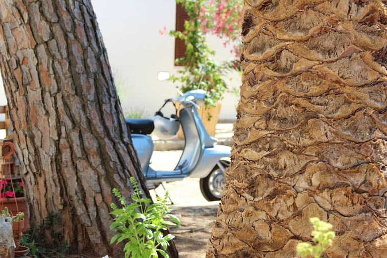 Agroturismo Masseria Valente