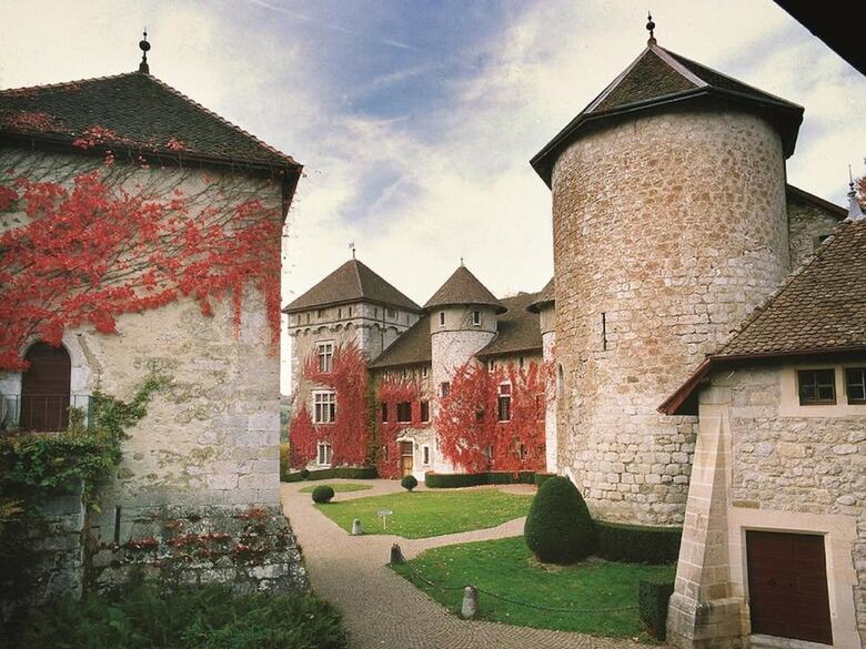 Apartamentos Chateau De Thorens