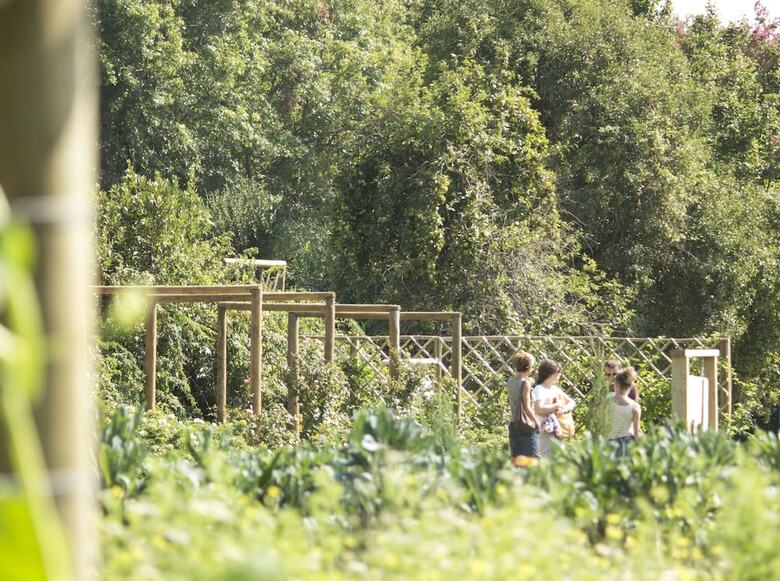 Boschendal Farm Estate