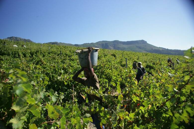 Boschendal Farm Estate