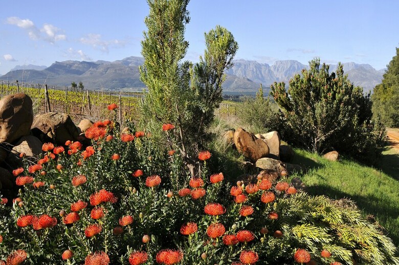 Boschendal Farm Estate
