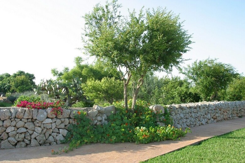 Agroturismo Son Capellot