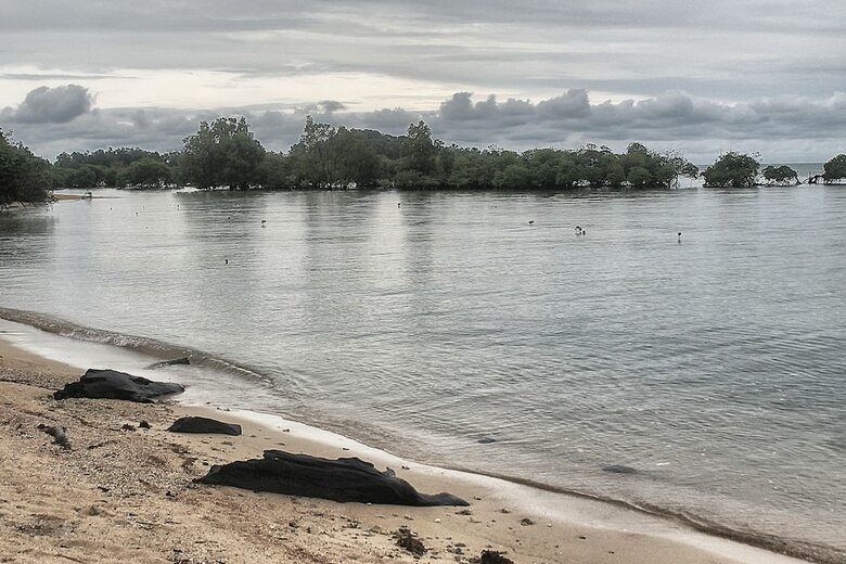 Walai Penyu Resort - Campground