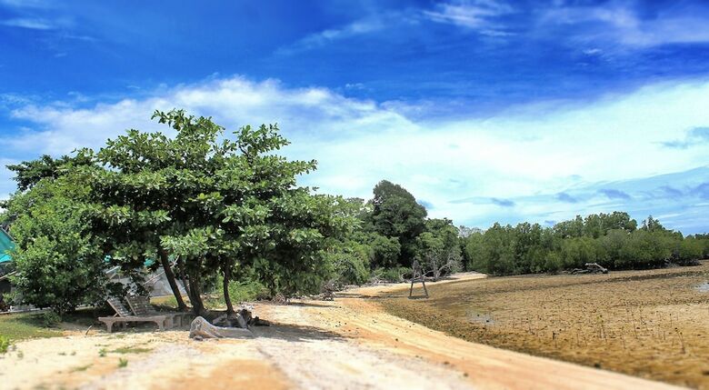 Walai Penyu Resort - Campground