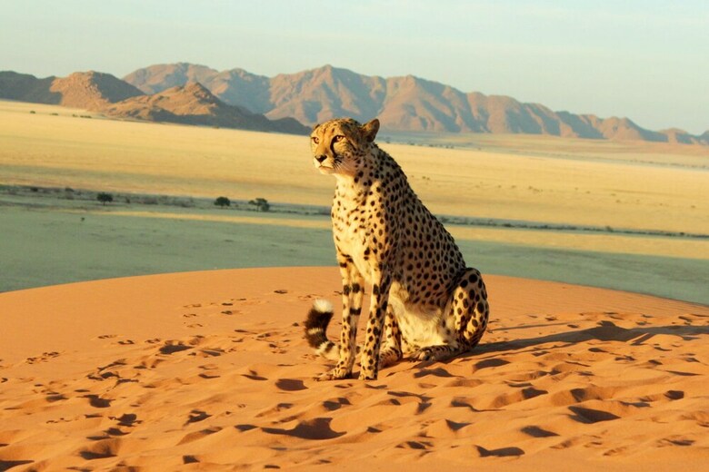 Kanaan N/a'an Ku S� Desert Retreat