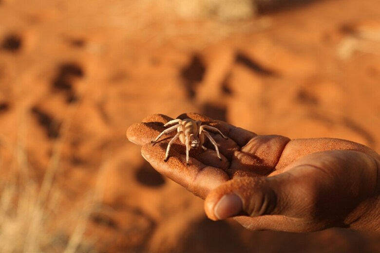 Kanaan N/a'an Ku S� Desert Retreat