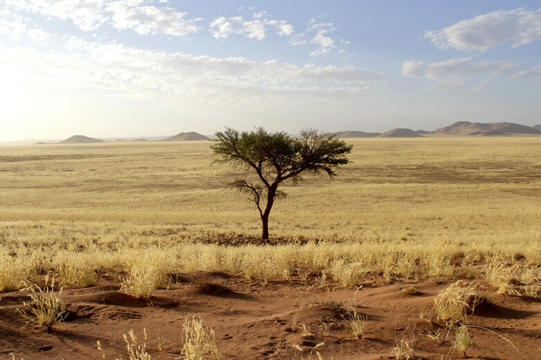 Kanaan N/a'an Ku S� Desert Retreat
