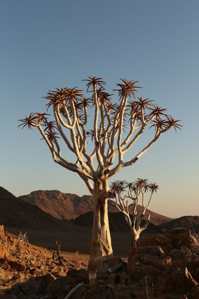 Kanaan N/a'an Ku S� Desert Retreat